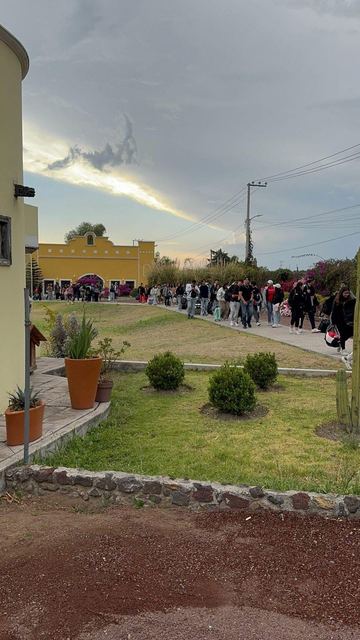 Grupos caminando por jardín en Teoticamp
